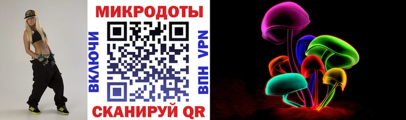 хочу   Ядрин  Галлюциногенные грибы Psilocybe 